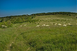 Název souboru=DSC06216.jpg
Velikost souboru=375KB
Rozměry=1200x800
Datum přidání=18. Březen 2017 DSC06216.jpg
