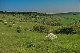 Název souboru=DSC06233.jpg
Velikost souboru=392KB
Rozměry=1200x800
Datum přidání=18. Březen 2017 DSC06233.jpg
