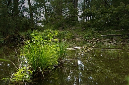 Název souboru=DSC06305.jpg
Velikost souboru=476KB
Rozměry=1200x800
Datum přidání=18. Březen 2017 DSC06305.jpg