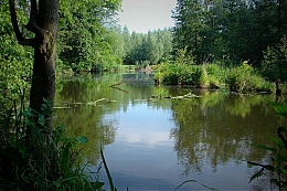 Název souboru=DSC06814.jpg
Velikost souboru=967KB
Rozměry=1200x800
Datum přidání=18. Březen 2017 DSC06814.jpg