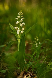 Filename=JP3A5026.jpg
Filesize=339KiB
Dimensions=600x900
Date added=May 14, 2020 JP3A5026.jpg