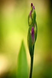Filename=JP3A5342.jpg
Filesize=319KiB
Dimensions=600x900
Date added=Jun 03, 2020 JP3A5342.jpg
